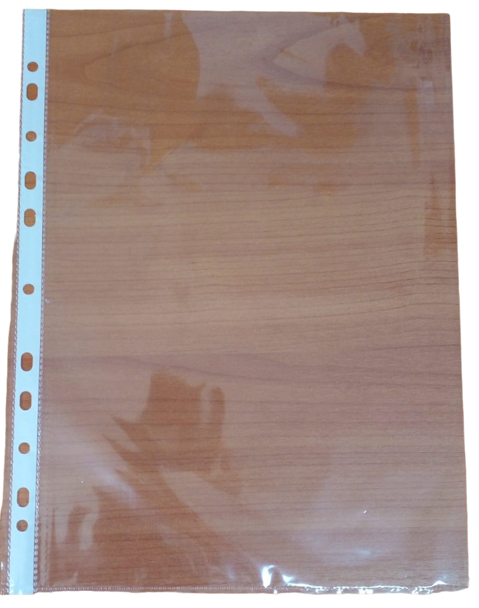 Pochettes plastiques grand format (100 )